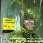 SriLanka tour - SAARC Special Entrace Rates at ZOO
